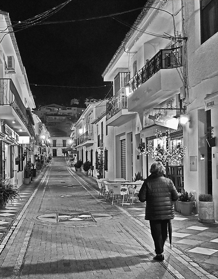 7 A quiet evening stroll mono